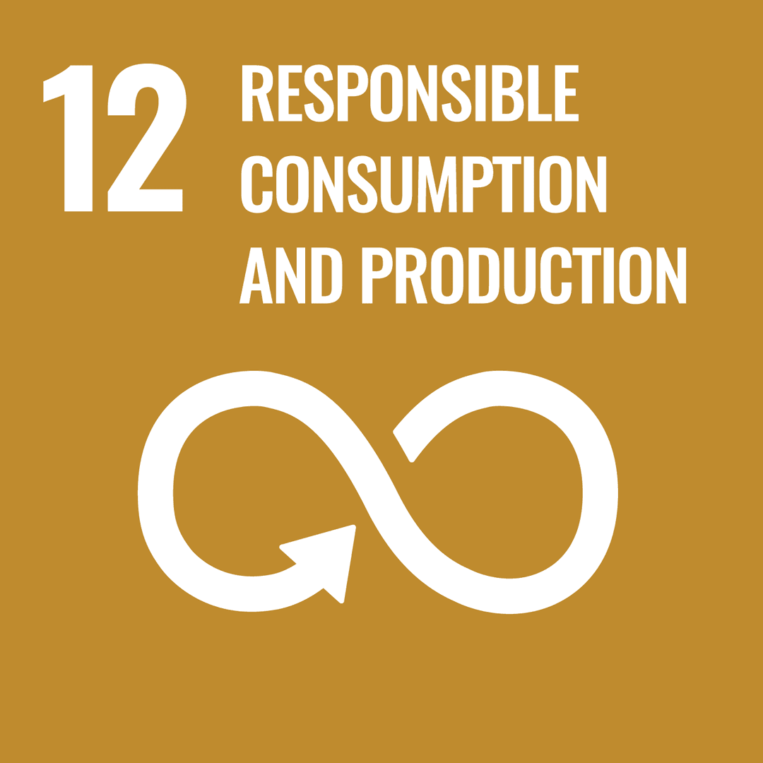 SDG 12: Responsible Consumption and Production – United Nations Sustainable Development Goals