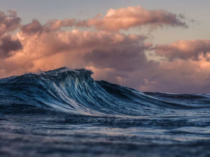 Reduce Water Consumption