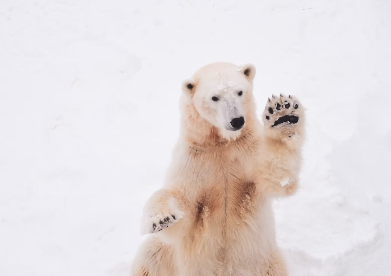 With friends or family